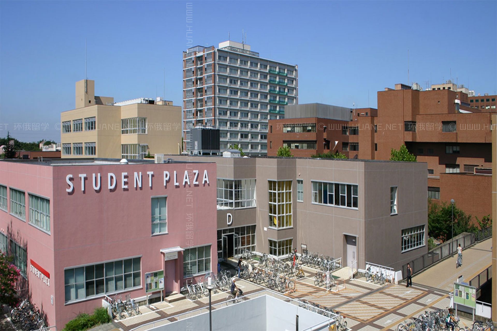筑波大學