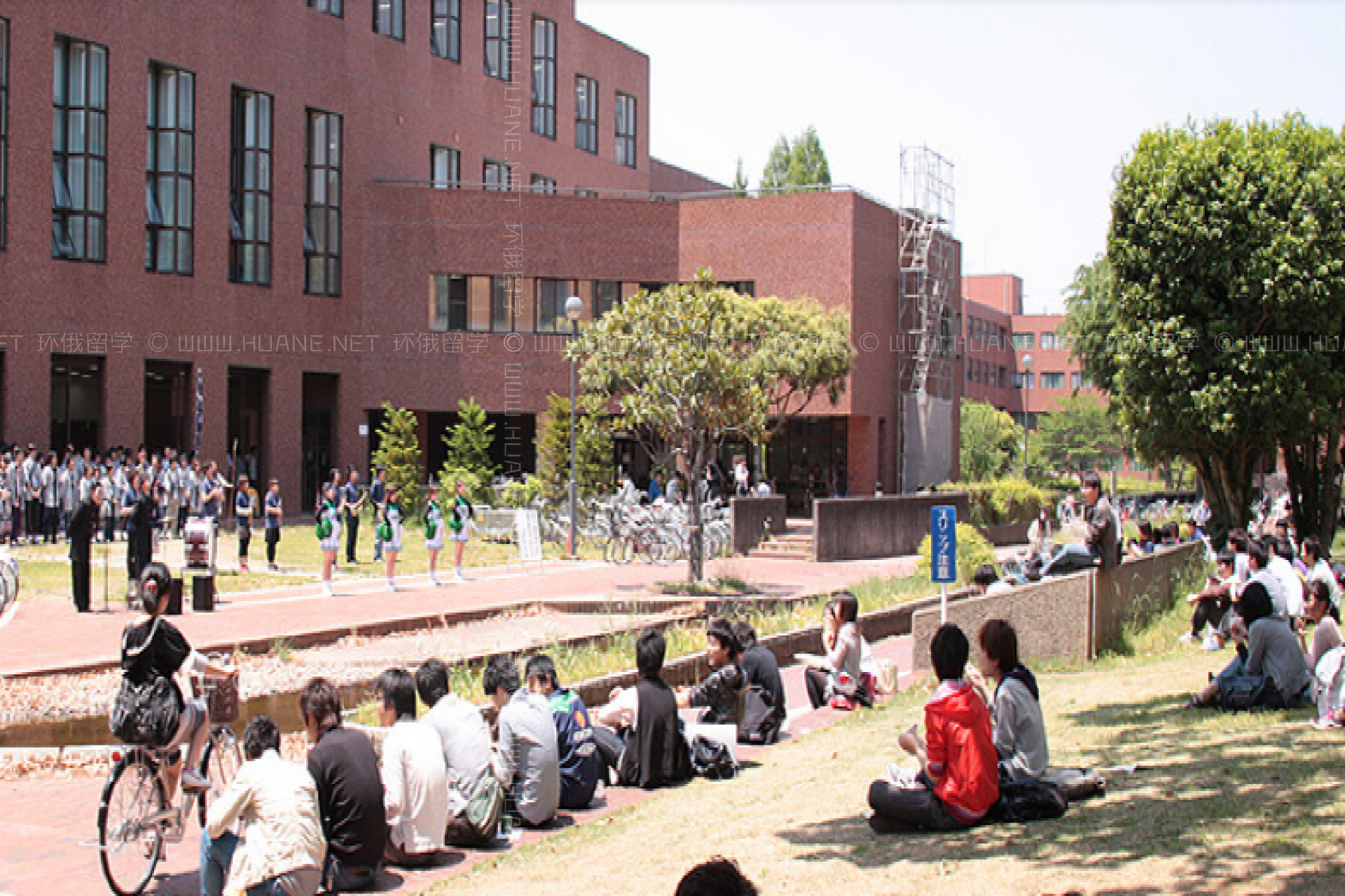 筑波大學