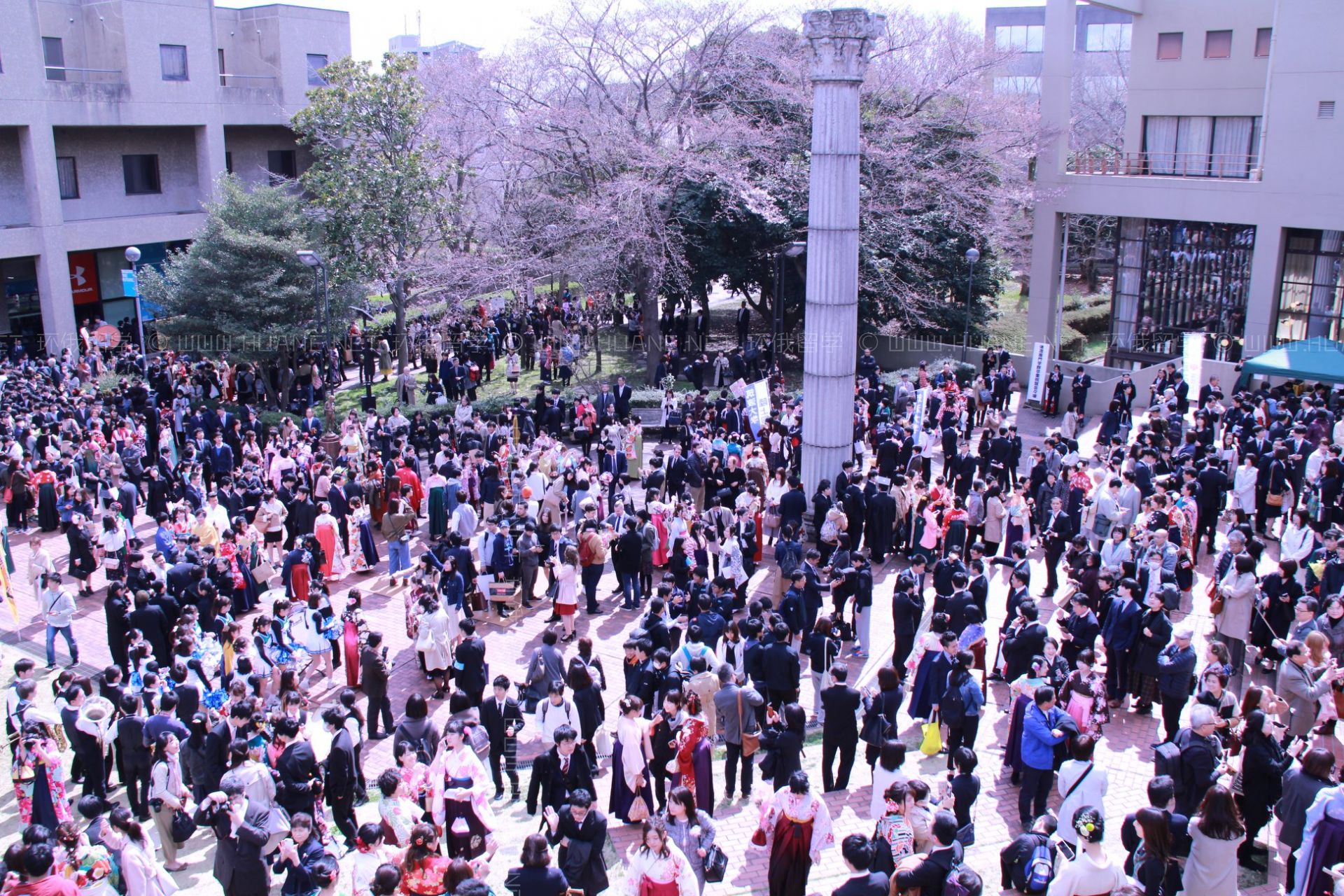 筑波大學