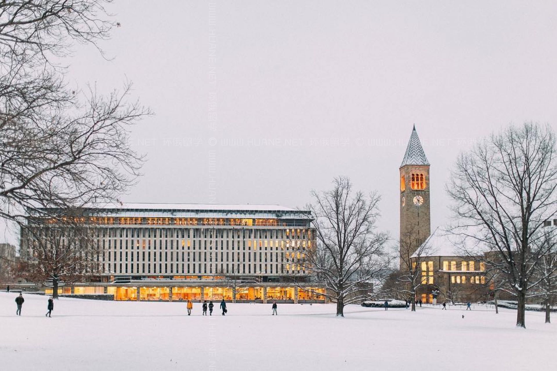康奈爾大學