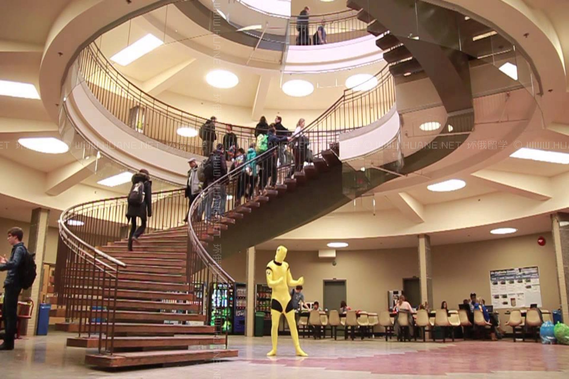 蒙克頓大學