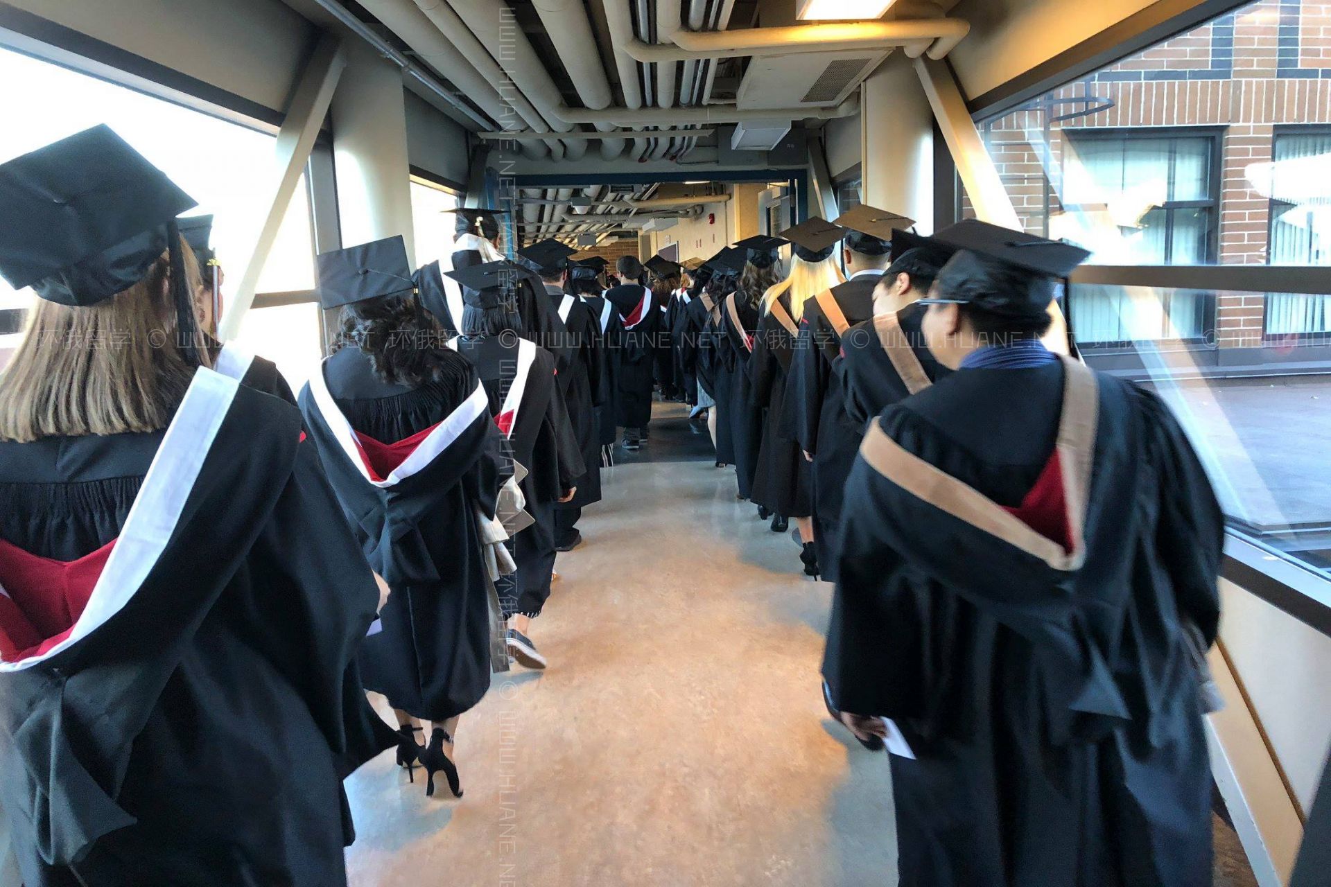 溫尼伯格大學