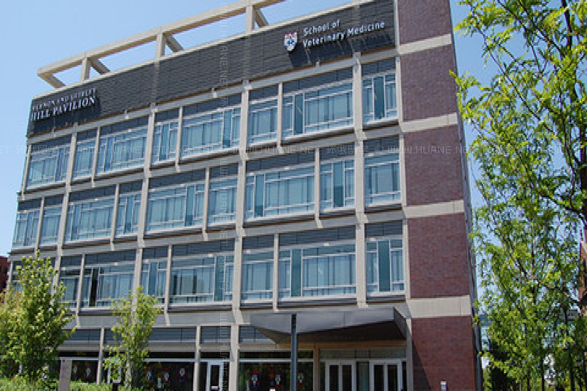 賓夕法尼亞大學美術系
