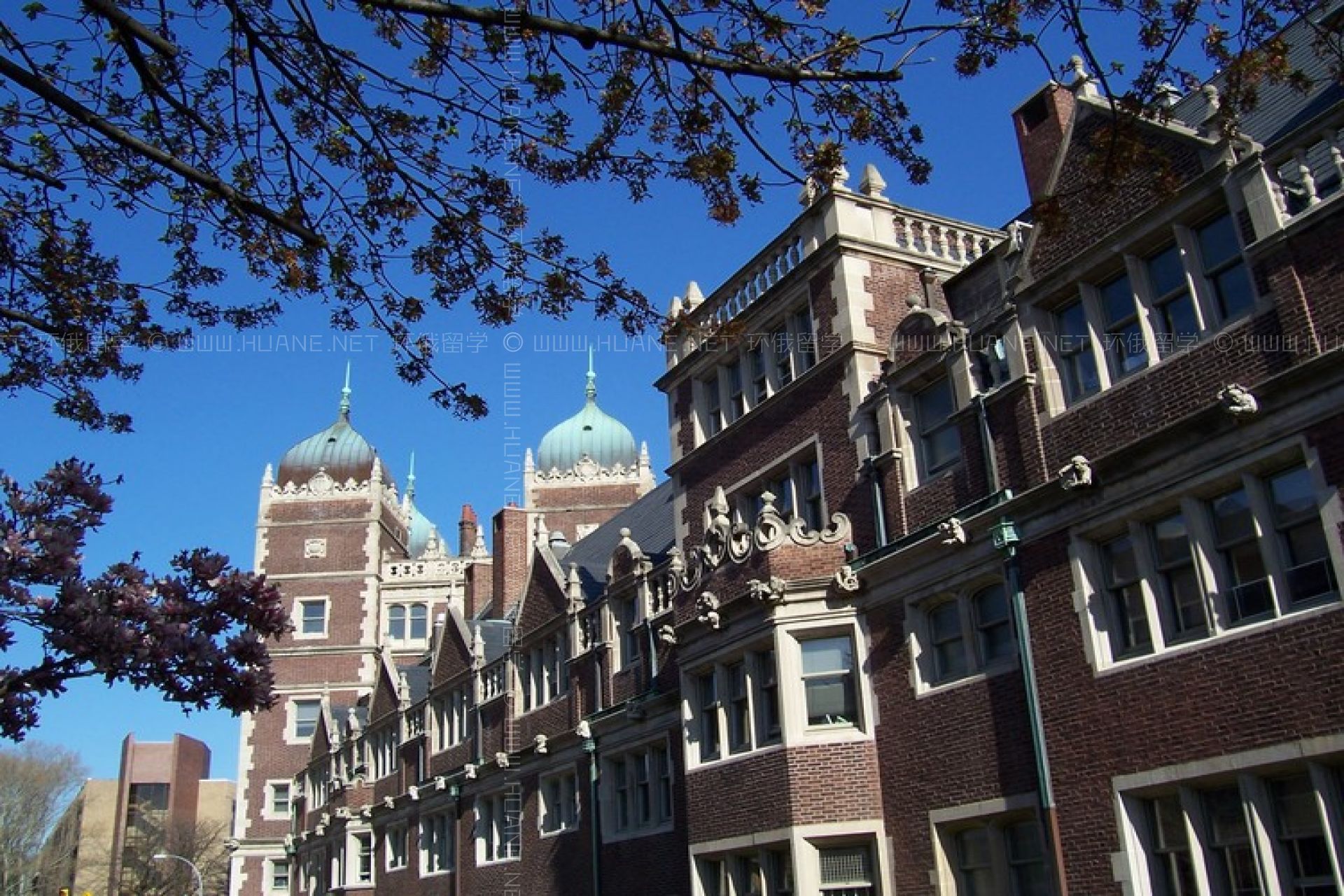 賓夕法尼亞大學美術系