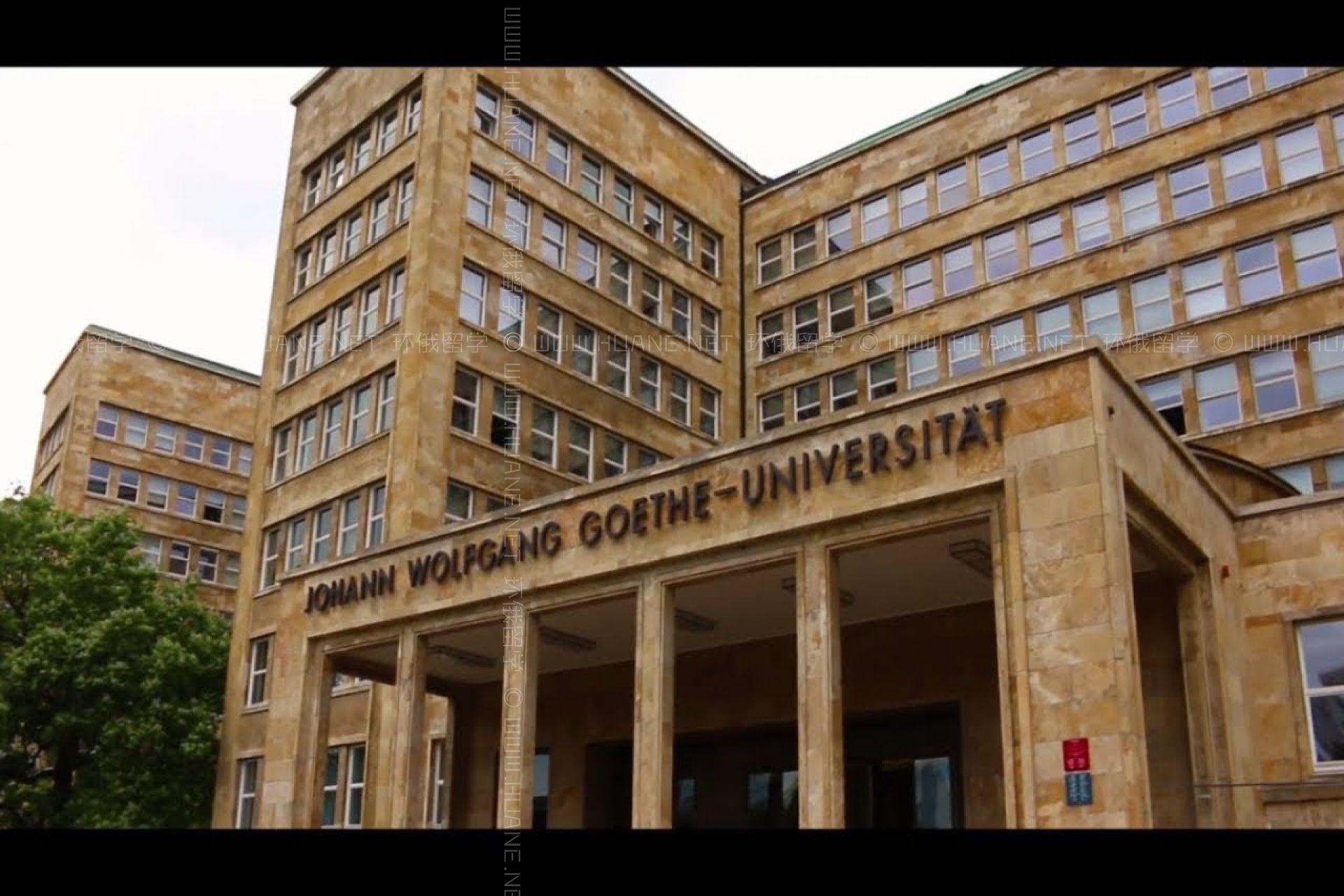 法蘭克福大學